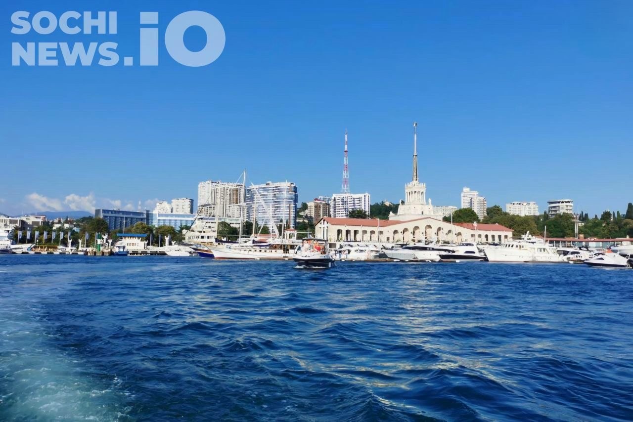 Экологи заверили туристов в безопасности экологии Сочи